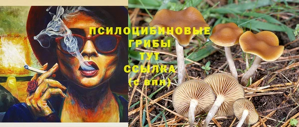 гидропоника Богданович
