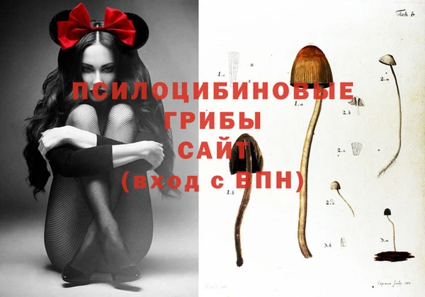 гидропоника Богданович