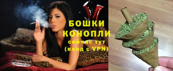 прущие грибы Семёнов
