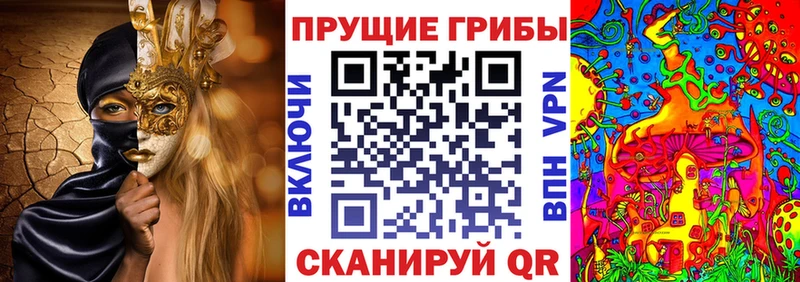 Галлюциногенные грибы мухоморы MEGA ссылки Корсаков